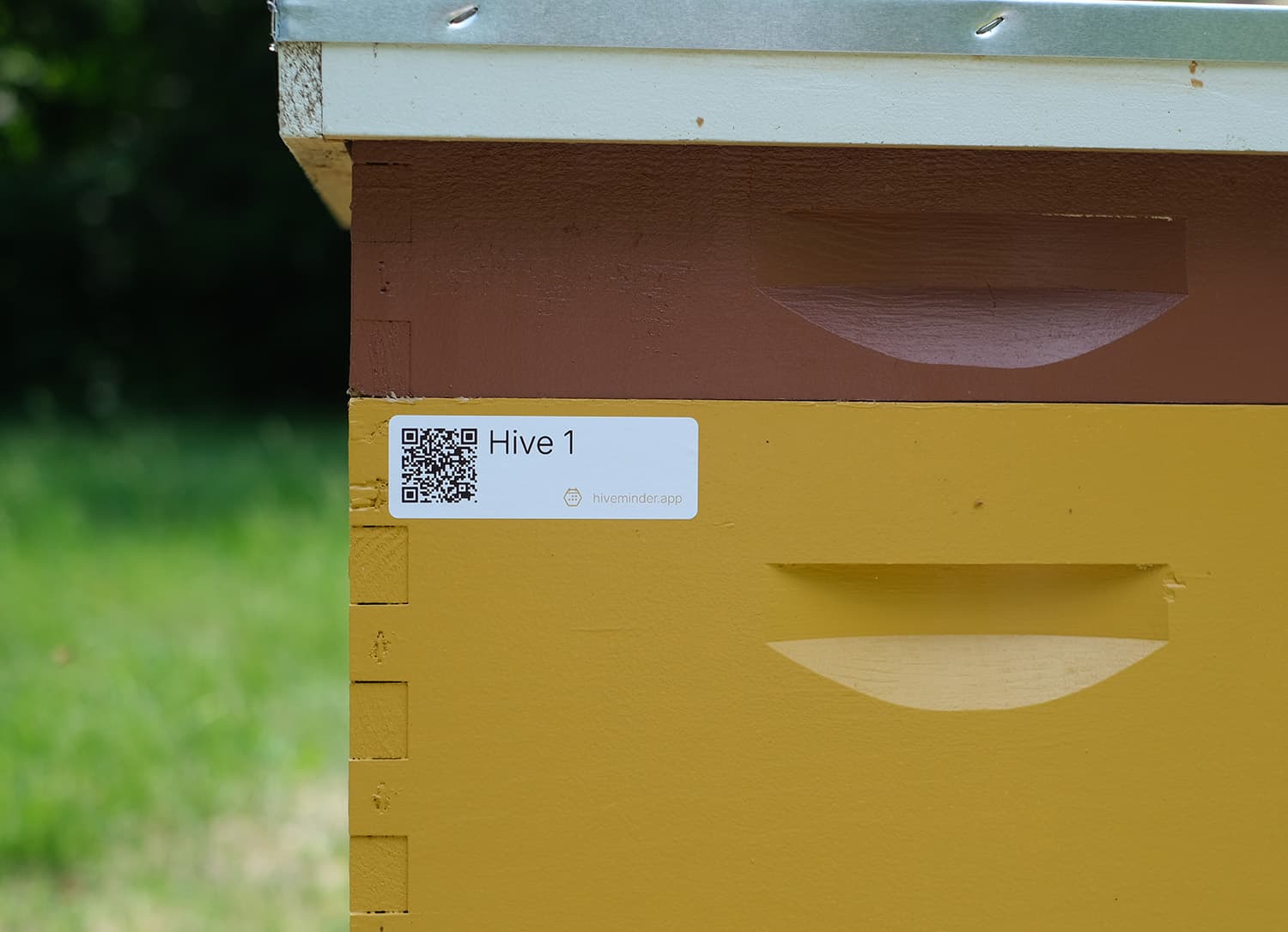 A Langstroth hive with a Hiveminder QR tag labeled “Hive 1” stuck to the brood box.